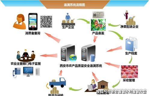 智慧農業(yè)與電子商務技術 推動農業(yè)現(xiàn)代化的雙引擎